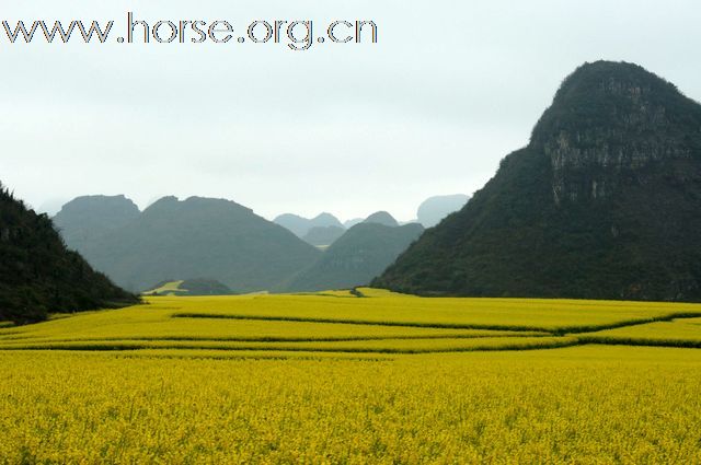 2011年滇中南之行
