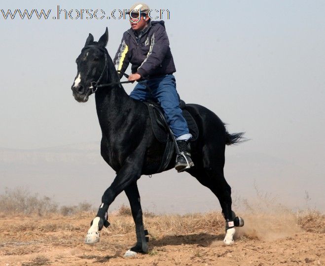 清心山马术队2011中国黄河万里大穿越,即将启程