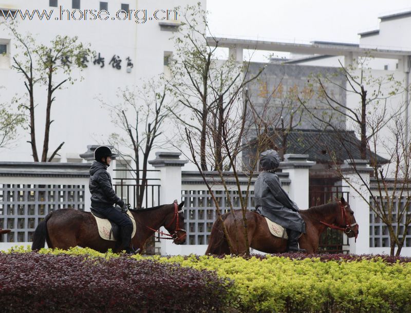 2011首届走马拍花看婺源活动
