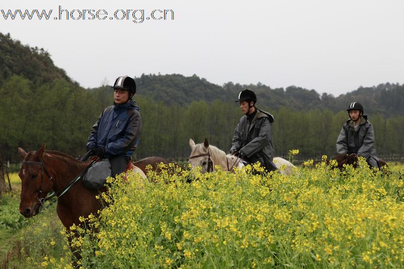 2011首届走马拍花看婺源活动