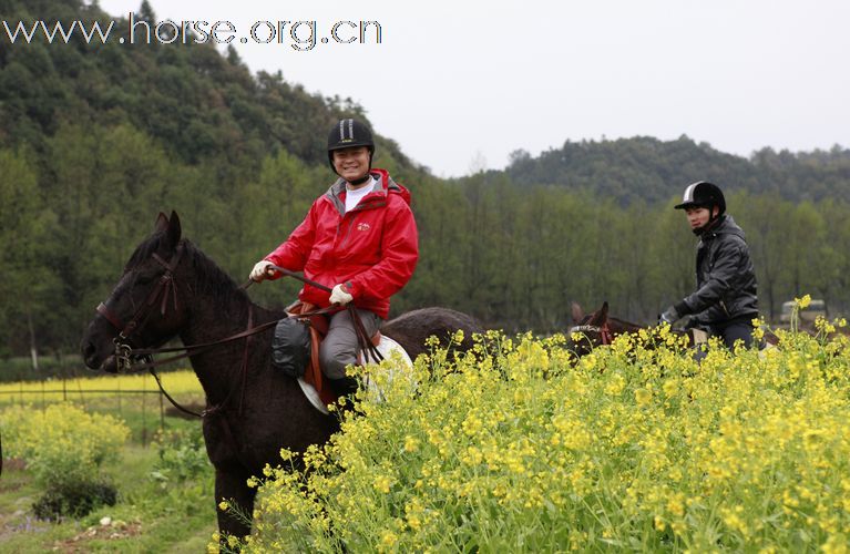2011首届走马拍花看婺源活动