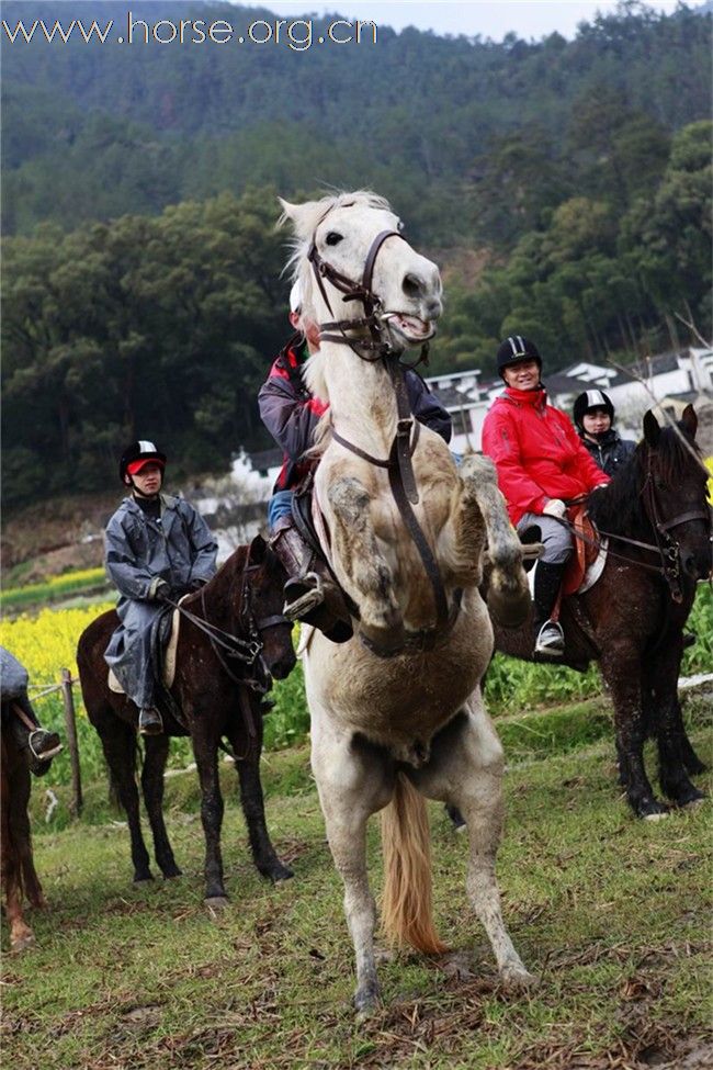 2011首届走马拍花看婺源活动圆满结束