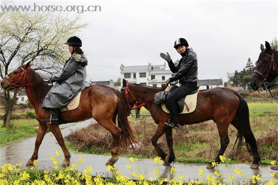 2011首届走马拍花看婺源活动圆满结束