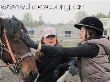 成都快乐马帮 女骑士场地练习