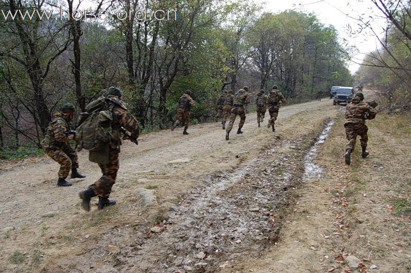 俄罗斯骑兵山区演习