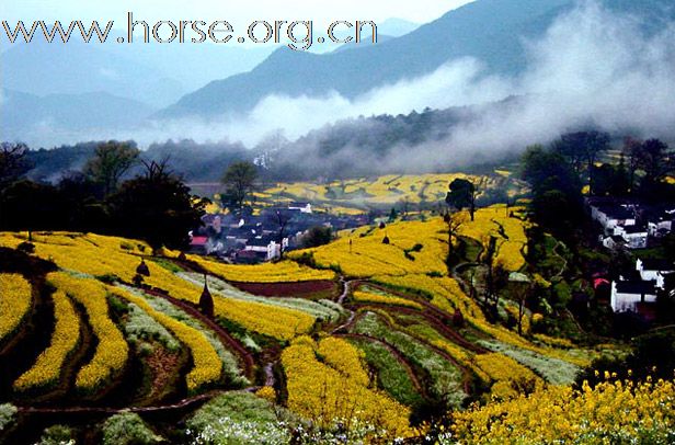 2011首届走马拍花看婺源活动