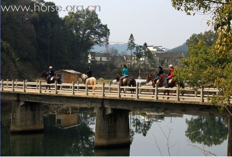 2011首届走马拍花看婺源活动