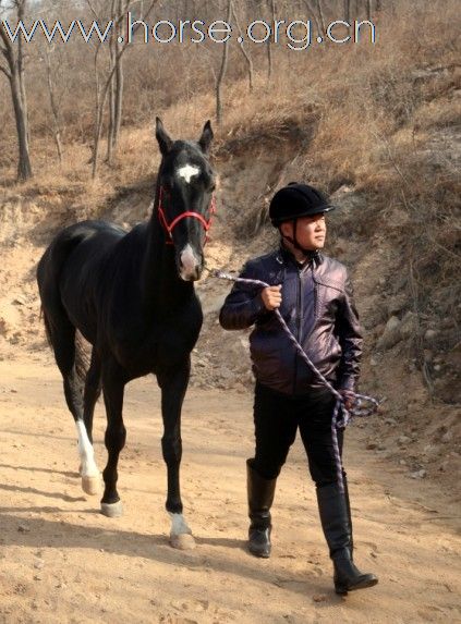 清心山马术队2011中国黄河万里大穿越,即将启程