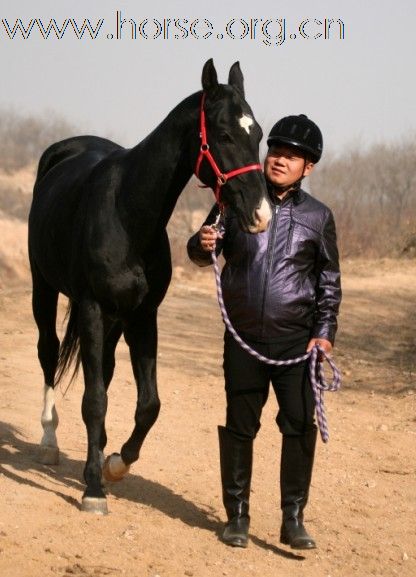 清心山马术队2011中国黄河万里大穿越,即将启程