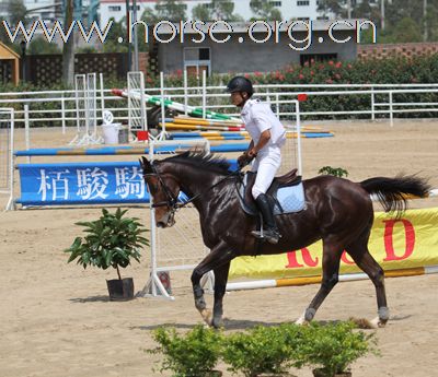 2011年广东省第二届柏骏杯马术场地障碍邀请赛照片,花絮.