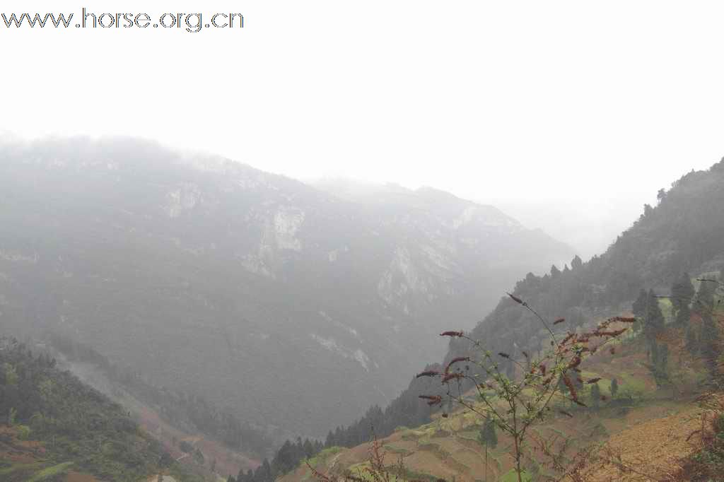 重庆山地耐力赛探路行