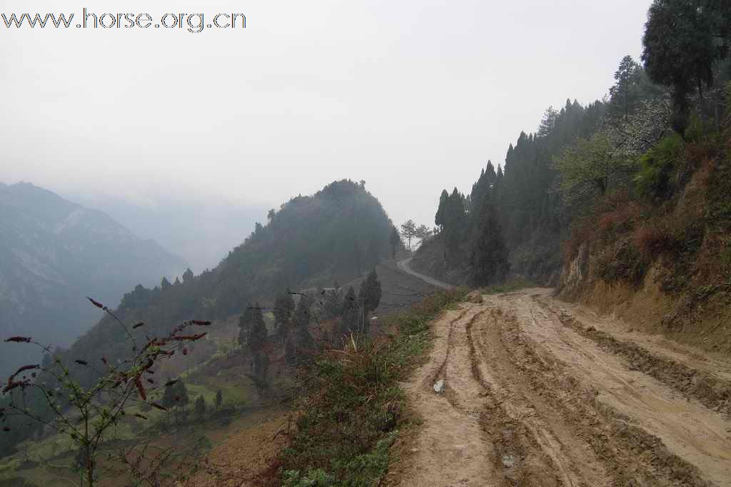 重庆山地耐力赛探路行