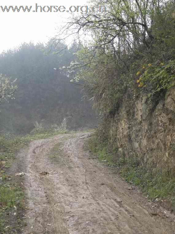 重庆山地耐力赛探路行