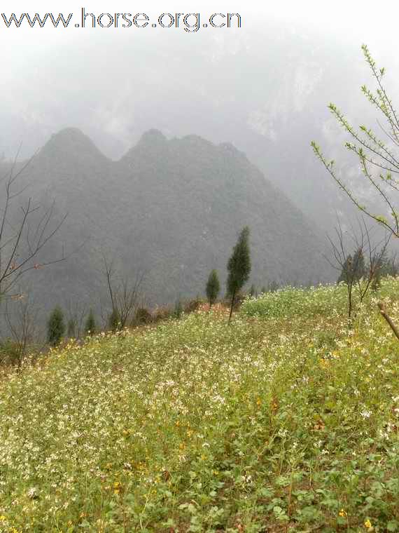 重庆山地耐力赛探路行