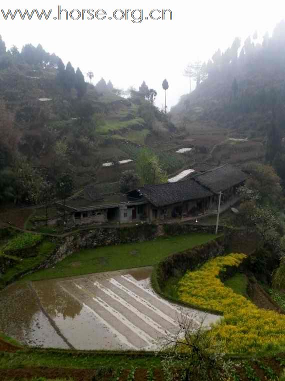 重庆山地耐力赛探路行