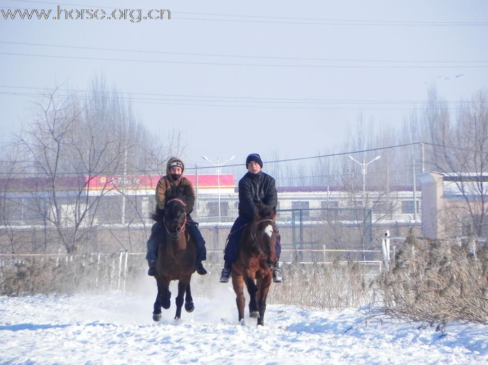 [原创]一起分享新疆的赛马，热情高涨、道路艰险!