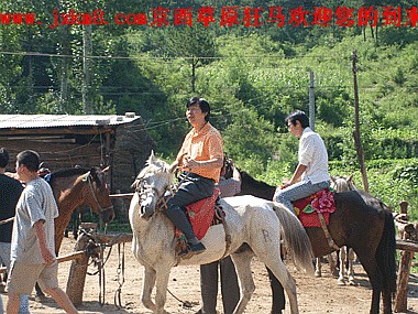 北京草原骑马