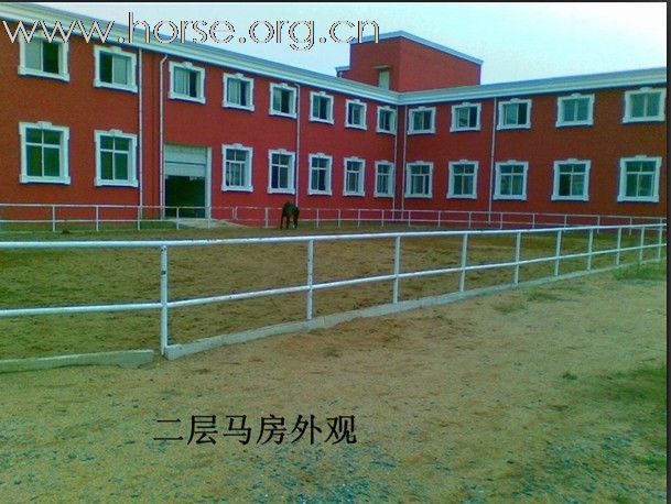 [推荐]辽宁俱乐部诚聘马术教练