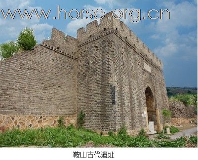 [推荐]辽宁俱乐部诚聘马术教练
