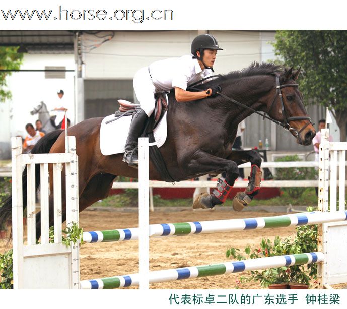 晓光手记：2011广东省第十一届天麓骑术场地障碍常规赛（春季站）透视