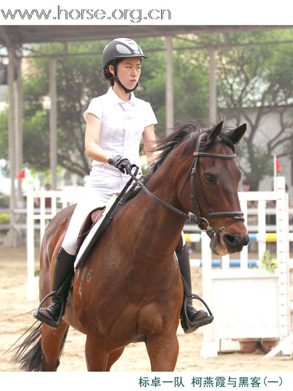 晓光手记：2011广东省第十一届天麓骑术场地障碍常规赛（续一）100CM团体赛扫描