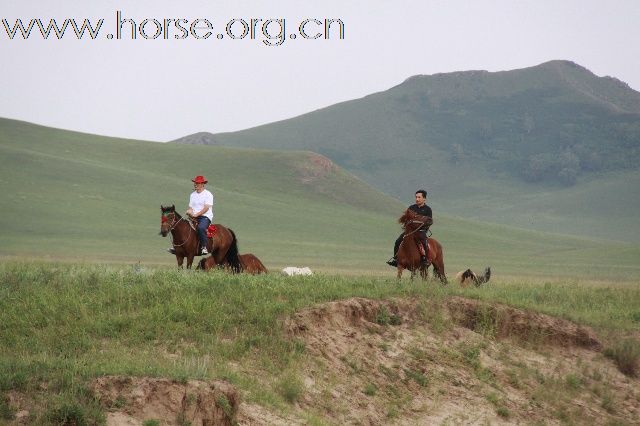 2010年8月，克什克腾乌兰布统红山军马场游！！