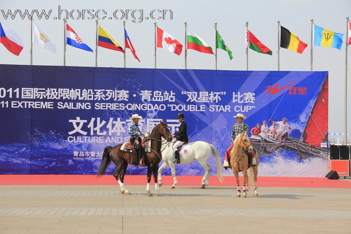 2011年4月17日青岛马协马术展示活动精彩图片（奥帆中心）