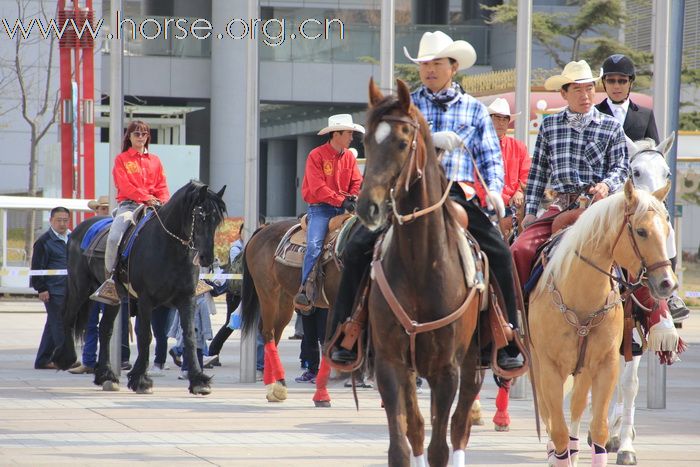 2011年4月17日青岛马协马术展示活动精彩图片（奥帆中心）