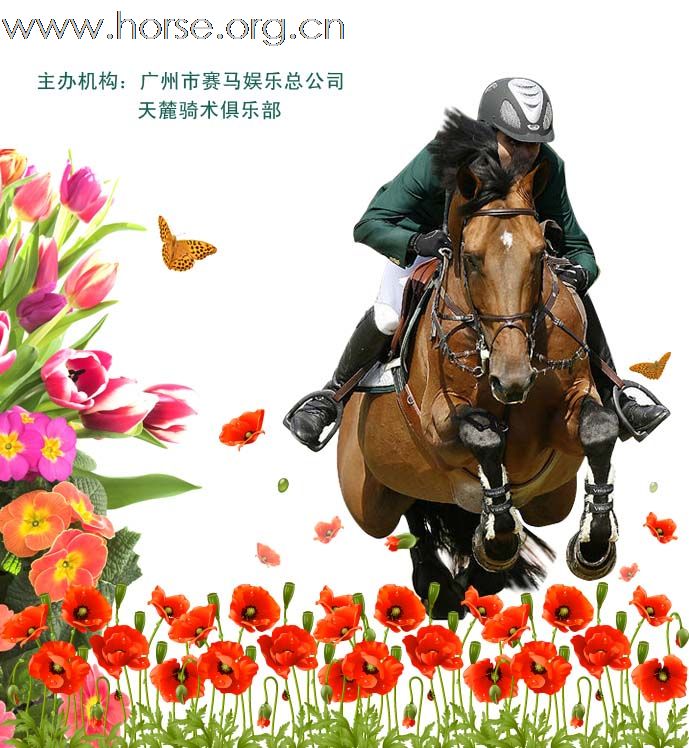 赛事通告：2011广东省第十一届天麓骑术场地障碍常规赛（春季站）