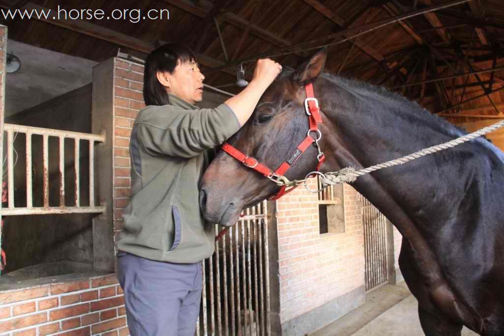 杰瑞米·麦克尔斯先生天星调良授课