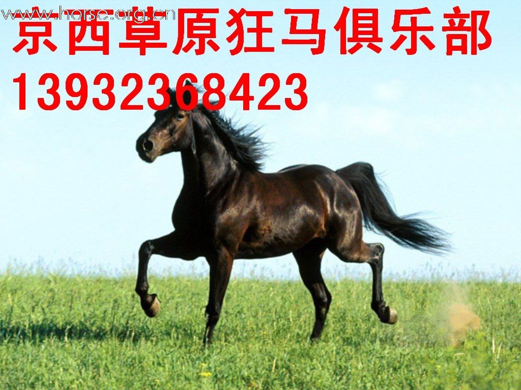 京西草原狂马俱乐部自驾游