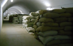 [精饲料]大量供应甘青产区加拿大品种皮燕麦