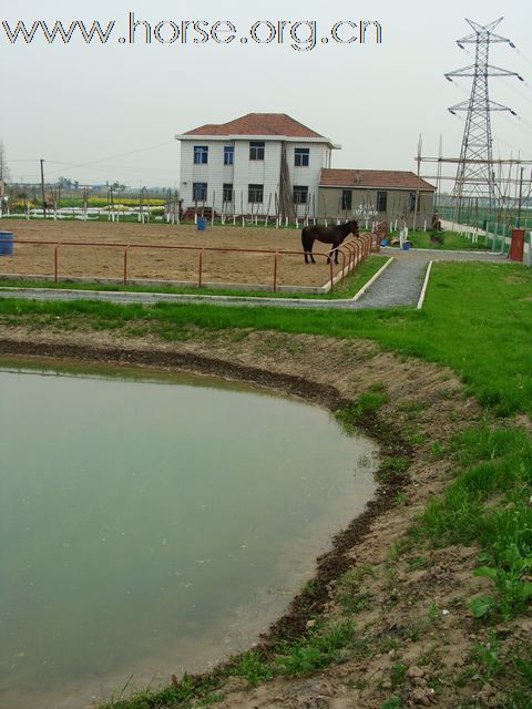 长三角马友会--马场春色