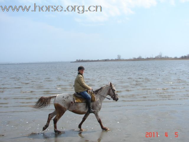 沙滩骑马