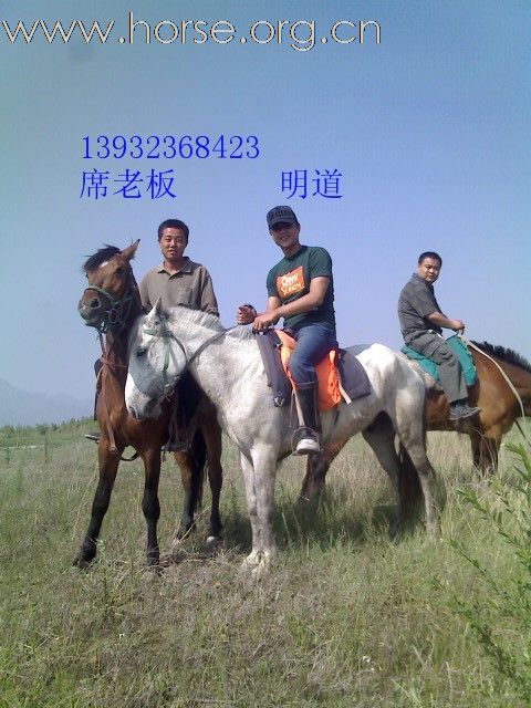 京西草原骑马最便宜的地方
