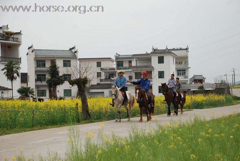 2010首届第二期走马拍花看婺源活动精彩片段