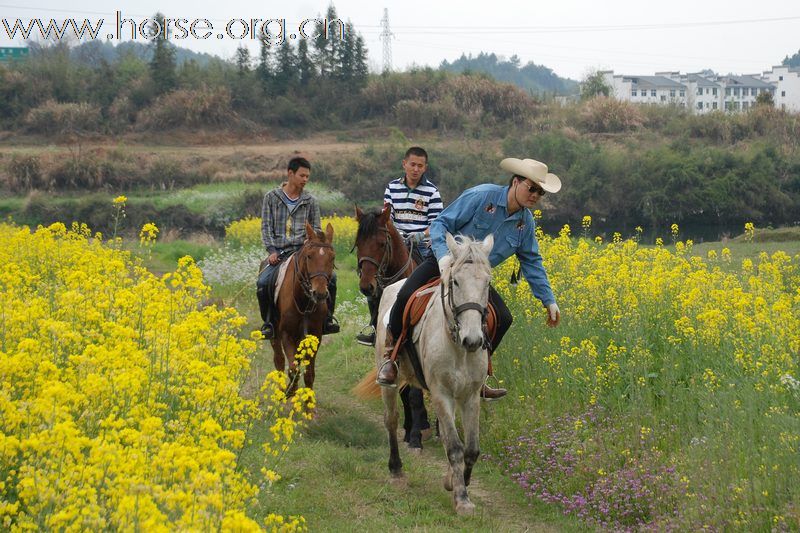 2010首届第二期走马拍花看婺源活动精彩片段