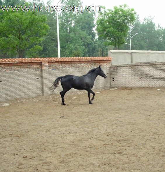 uglgo54t.jpg