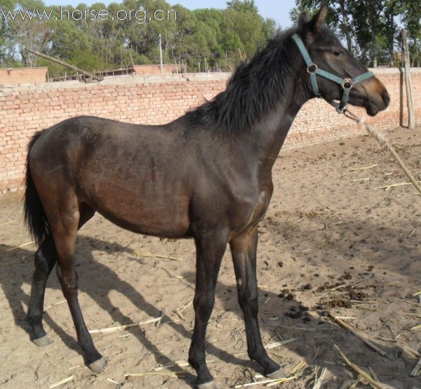 EToJjor8.jpg