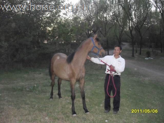 efAUZZs8.jpg