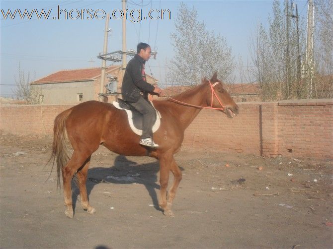 Kx8ymZlN.jpg