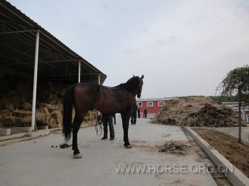 DSC01288_meitu_10.jpg