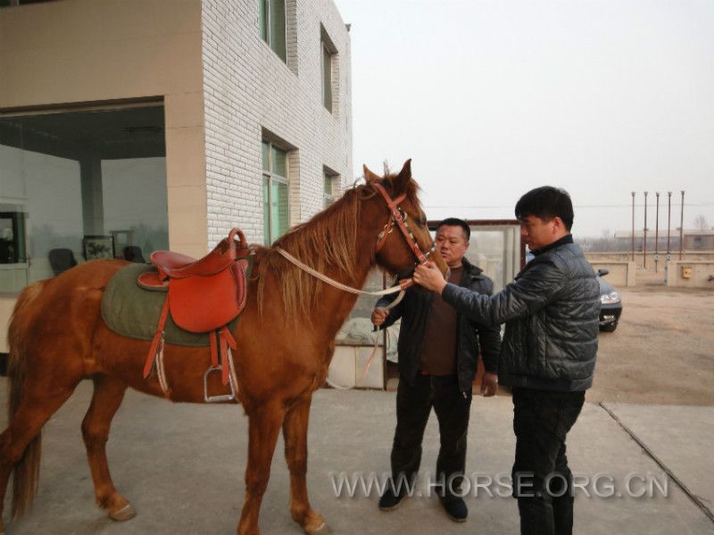 DSC01087_meitu_3.jpg