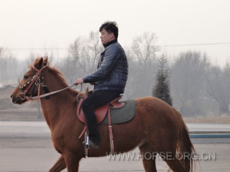DSC01085_meitu_2.jpg