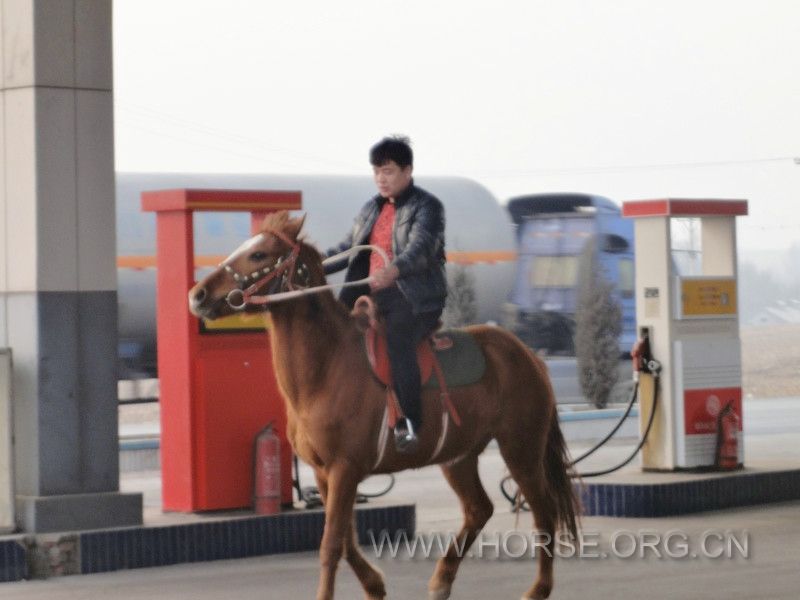 DSC01084_meitu_1.jpg