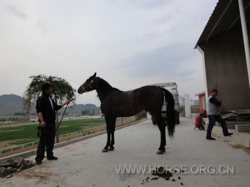 DSC01286_meitu_8.jpg