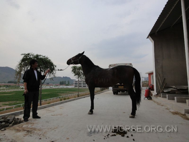 DSC01287_meitu_9.jpg