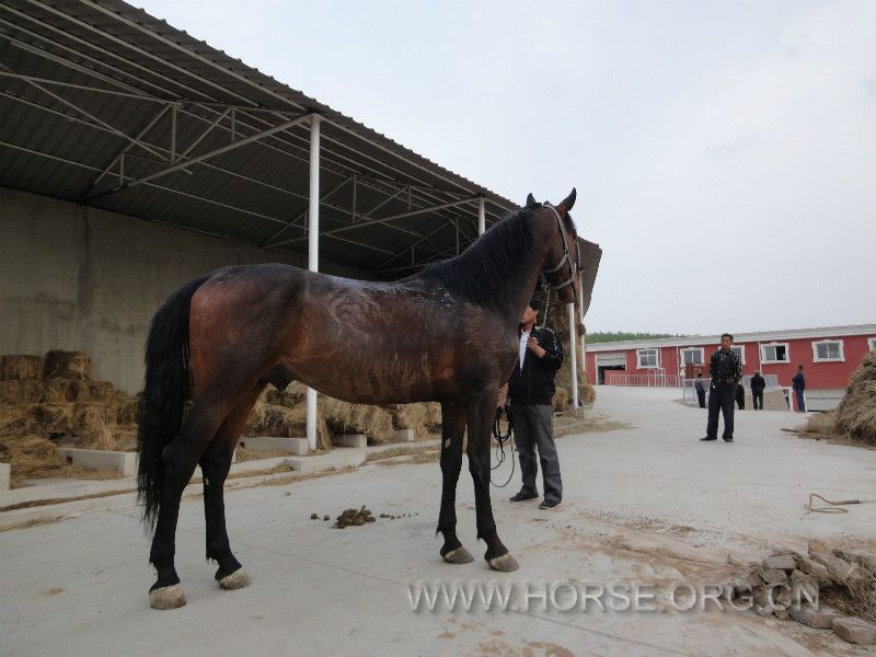 DSC01289_meitu_11.jpg