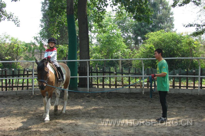 小鱼儿又来学习啦