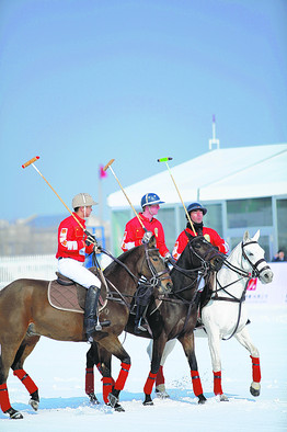snow polo.jpg